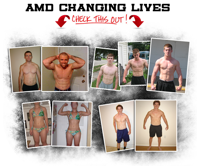 accelerated muscle development program review